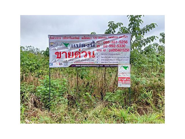 ขายที่ดินเปล่ารวม  2  งาน  59.0  ตรว. ( 2 แปลง ) ทำเลดี เป็นที่ดินจัดสรร ต.ปากช่อง อ.ปากช่อง จ.นครราชสีมา