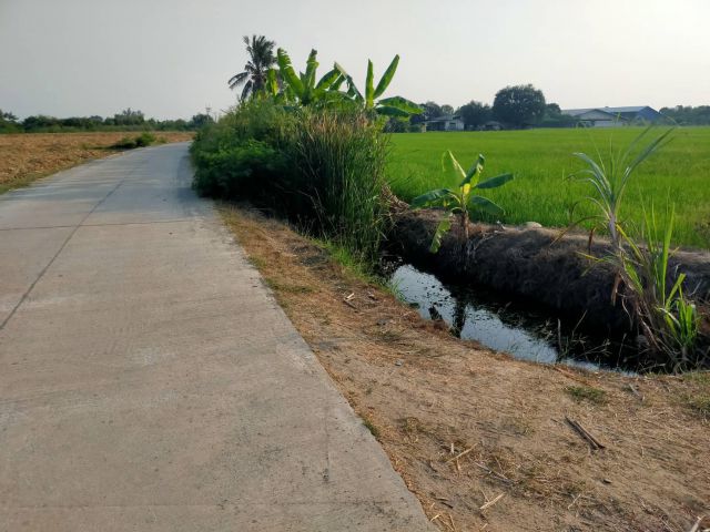 ขายที่ดิน 6-14ไร่ ไร่ละ950000-อ.สองพี่น้อง จ.สุพรรฯเหมาะทำบ้านพัก/ที่จัดสรร/บ้านจัดสรร.ใก้ลถนน321+ตลาดทุ่งคอก+ปั้มปตท