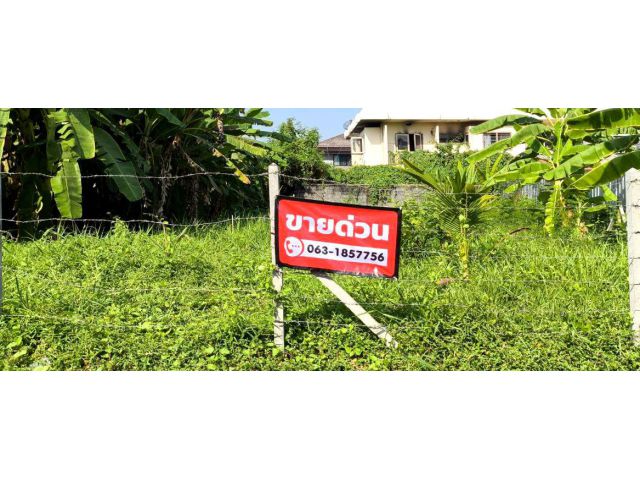 ขายที่ดินลาดพร้าว124