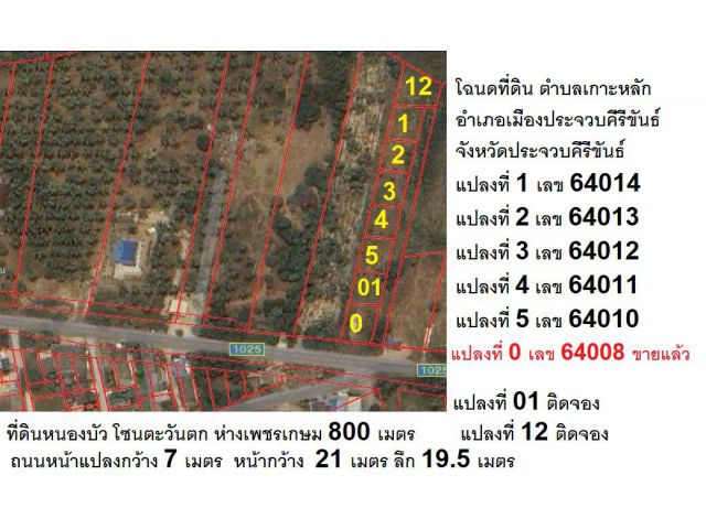 ขายที่ดิน  101  ตาราวา