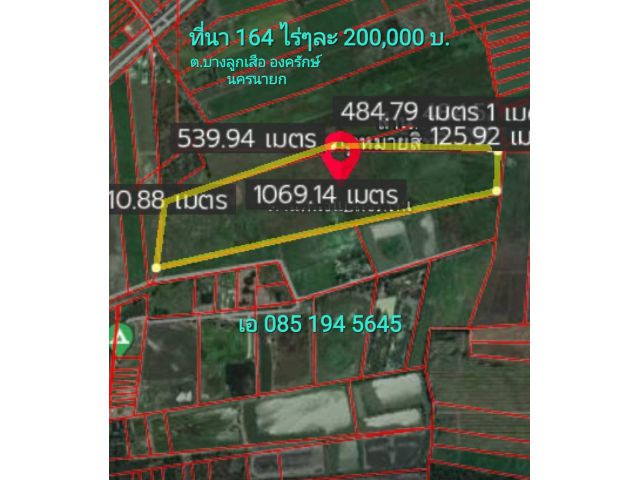 ขายที่นา 164ไร่ๆละ 200,000บ.ค่าโอนคนละครึ่ง ต.บางลูกเสือ องครักษ์ นครนายก