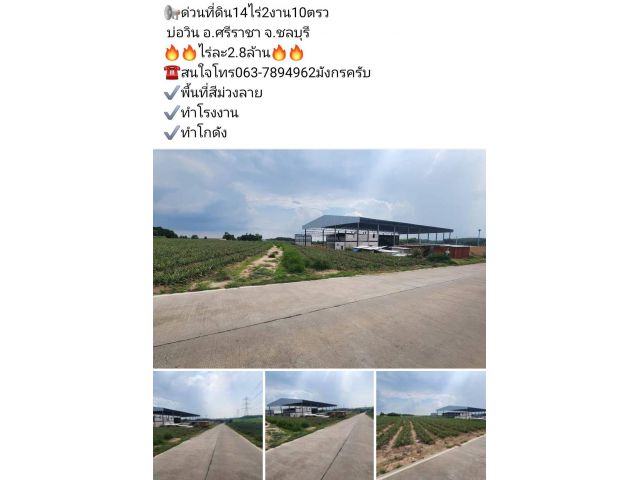 ด่วนที่ดิน14ไร่2งาน10ตรว  บ่อวิน อ.ศรีราชา จ.ชลบุรี  ไร่ละ2.8ล้าน ️สนใจโทร063-7894962มังกรครับ พื้นที่สีม่วง