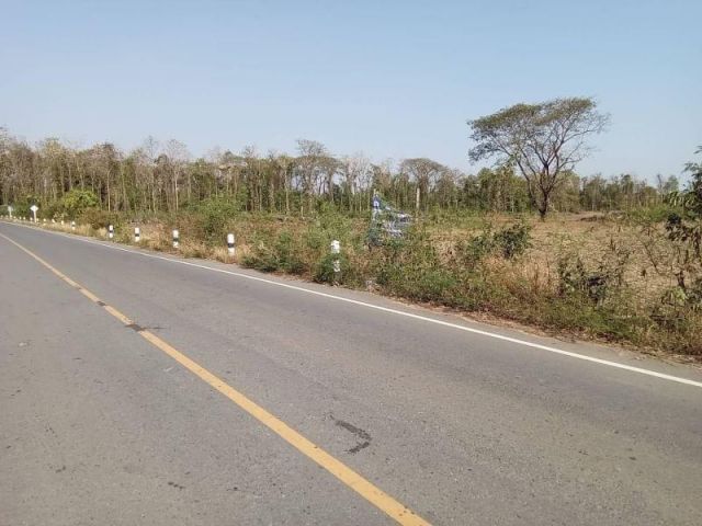 ขายที่ดินทำเลดี ค้าขายได้  เนื้อที่ 5ไร่ ติดถนนทางหลวง