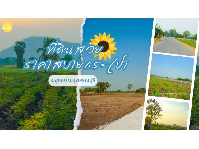 ขายที่ดินวิวเขาสวย 200 ตรว.-1 ไร่, 2 ไร่ บรรยากาศดีทำเลดีเหมาะสร้างบ้านสวน