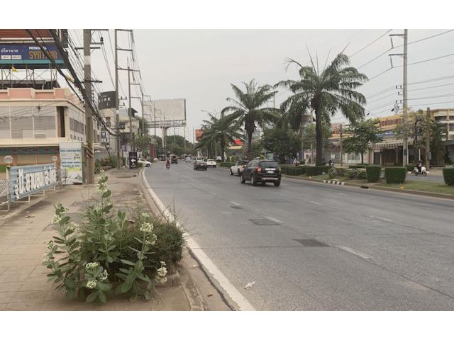 @@ขายที่ดินติดถนนมิตรภาพ เนื้อที่ 248 ตรว. ขายพร้อมโกดังโรงงาน ##
