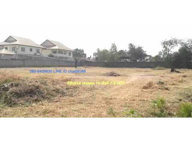 @@ขายที่ดินในเมืองโคราช ซอยเดชอุดม 14 เนื้อที่ 1-3-19ไร่ เหมาะปลูกบ้านอยู่อาศัยในเมือง ใกล้บุ่งตาหลั่ว ใกล้สถานที่ราชการหลายแห่ง##