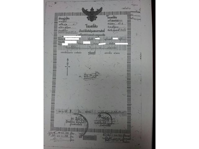 ขายที่ดิน ติดถนนใหญ่ (โฉนด น.ส ๔ จ.)