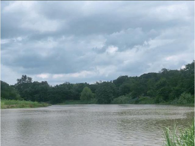ขายที่ดินติดแม่น้ำปิงห่างโรงพยาบาลนครพิงค์เพียง 4 กม