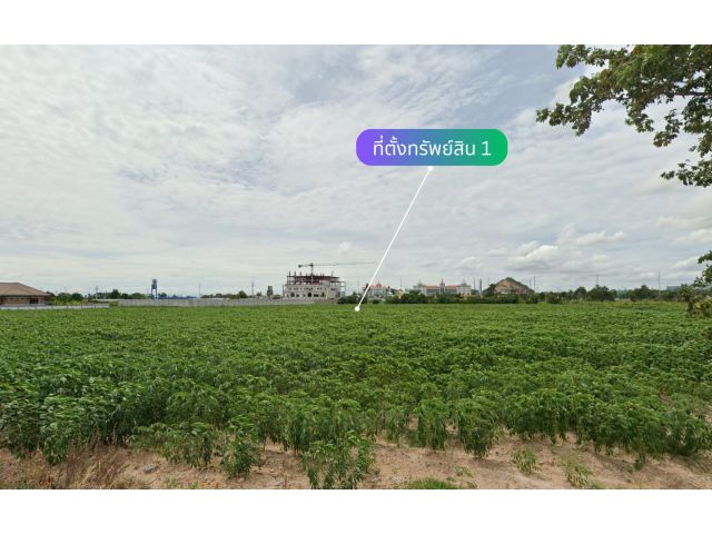 ขายที่ดินแปลงใหญ่ 2 แปลงติดกัน ทำเลดี ติดถนนข้าวหลาม ตรงข้ามโรงเรียนสารสาสน์วิเทศบูรพา ต.เหมือง อ.เมืองชลบุรี จ.ชลบุรี