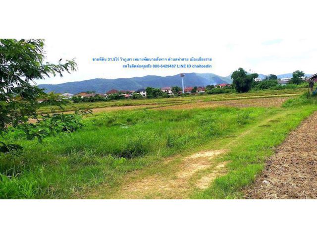 @@ขายที่ดิน 31-3-17ไร่ ตำบลท่าสาย เมืองเชียงราย ที่ดินติดทางสาธารณะโยชน์ 42เมตร วิวภูเขา เหมาะพัฒนาเป็นที่พักอาศัย @@