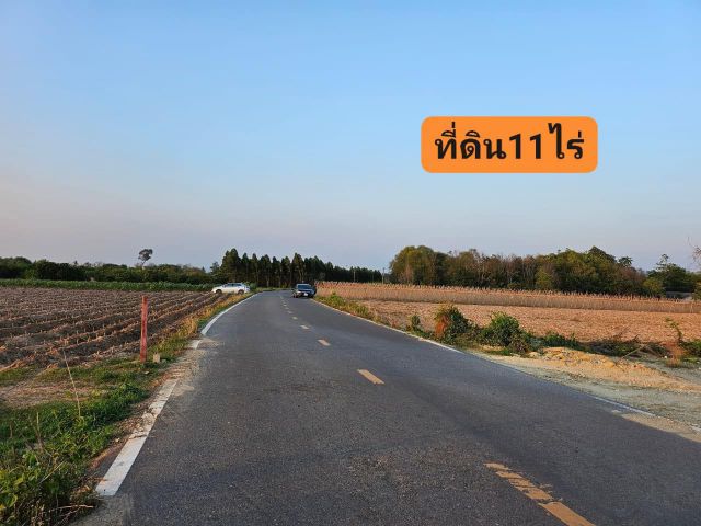 ขายที่ดินสวยติดถนนลาดยางแหล่งชุมชนไร่ไม่ถึงล้าน