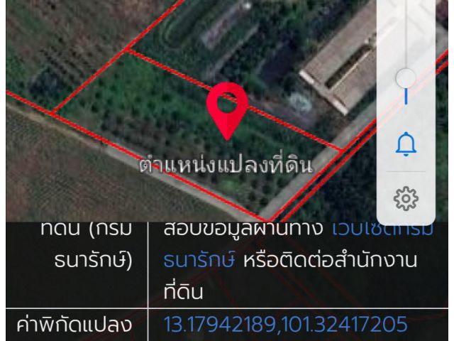 ขายสวนปาล์ม​ ใกล้นิคมโรจนะหนองใหญ่ใกล้โรงเรียนห้างสูง