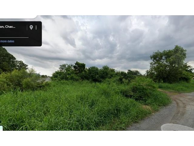NT297ขายที่ดิน 393 ตรว ผังสีม่วงลายจุด (มี 2 แปลงติดกัน) ใกล้ตลาดปองพล อ.เมืองฉะเชิงเทรา