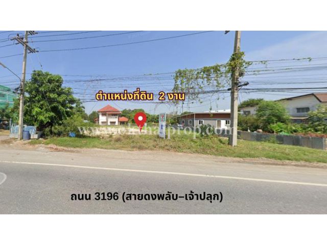 ที่ดิน ถ.3196 ( สายดงพลับ-เจ้าปลุก ) เมืองลพบุรี