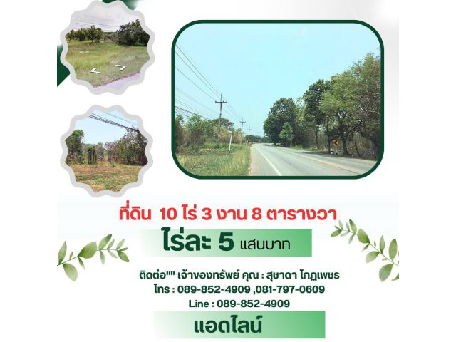 ขายที่ดินติดถนนลาดยางหมายเลข1033ที่ราบเชิงเขาบรรยากาศดีเหมาะสร้างบ้านอยู่อาศัยหรือทำธุรกิจ อ.เมืองลำพูล