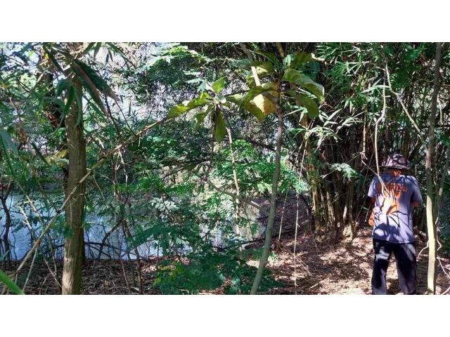 ขายที่ 100 ตร.วา 480,000 บาท ต.ลำไทร.อ.ลำลูกกา จ.ปทุมธานี