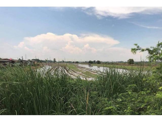 ที่ดินวังน้อย ที่ดินอยุธยา 24 ไร่ ตำบลลำตาเสา อำเภอวังน้อย 900 เมตร จากถนนพหลโยธิน แยกโรจนะ-ธัญบุรี ตลาดวังน้อยเมืองใหม่