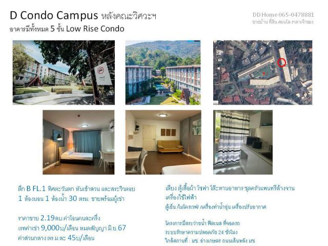 ขาย D Condo Campus หลัง มช. ตึก B ชั้น 1 ขายพร้อมผู้เช่า