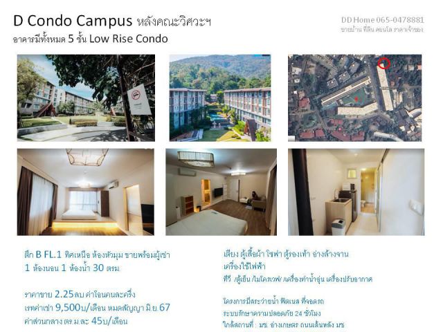 ขาย D Condo Campus หลัง มช ตึก B ชั้น 1 ห้องหัวมุม ขายพร้อมผู้เช่า