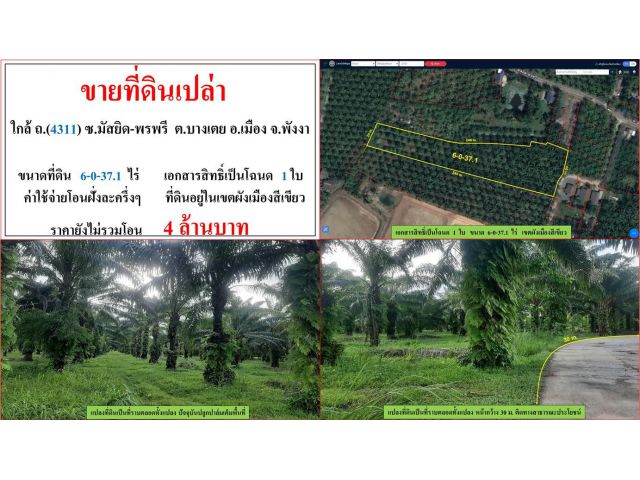 ขายที่ดินเปล่า ขนาด 6-0-37.1 ไร่  ใกล้ ถ.(4311)  ซ.มัสยิด-พรพรี  ต.บางเตย  เมืองพังงา