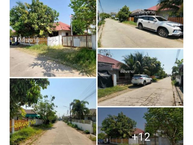 #*ขายที่ดินใกล้เมือง223ตร.ว.อยู่บ้านหนองโค้งซอย9 ต.ต้นเปา ใกล้ตลาดอุ้ยทา-สี่แยกบ่อสร้าง #ยกให้ฟรี?บ้านในที่ดิน7ห้องนอน ?