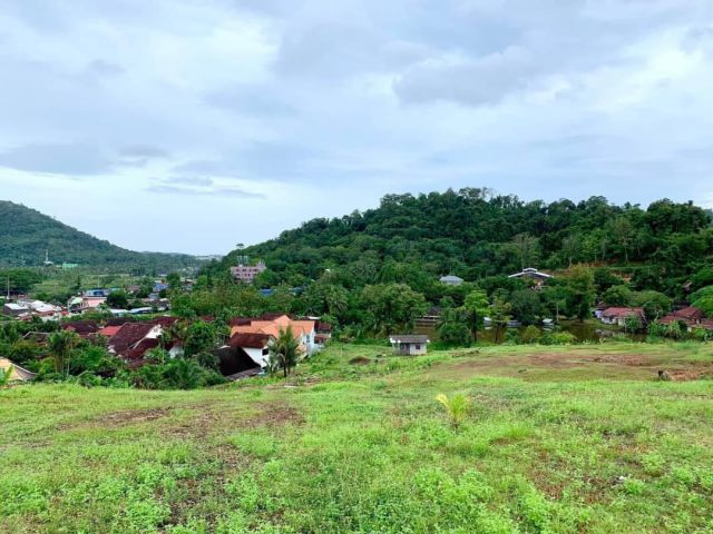 R624-045 ขายที่ดินภูเก็ต บนเนินเขา 23-1-10 ไร่  ทำเลดี ผังเมืองสีเหลือง ห่างจาก Central Phuket เพียง 2 กิโลเมตร ห่างจากทางด่วนใหม่ กะทู้-ป่าตอ