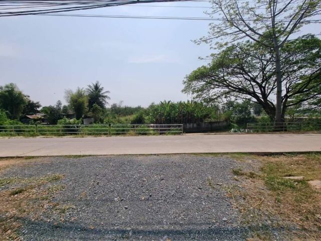 ขายที่ดินตำบลต้นเปาติดถนนสองด้านสันกำแพงอยู่ด้านหน้าโครงการบุญฟ้า