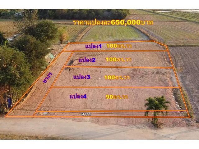 Vายที่ดิน100ตร.วา ถมแล้ว บ้านหนองสะเดาห้วยหมู ใกล้ตัวเมืองราชบุรี3กม. ใกล้สนามมิตรผล500เมตร ขนส่งใหม่ราชบุรี1.5กม.