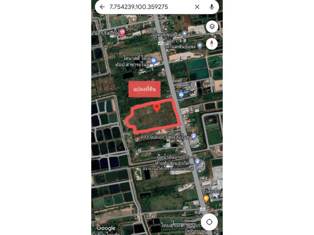 Land For Sale 32-3-48.5 rai, ติดถนนทางหลวง408(นครศรี-สงขลา) อ.ระโนด จ.สงขลา