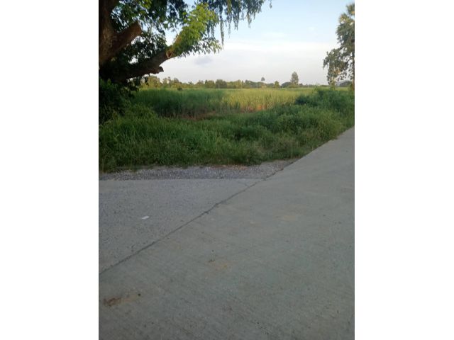 ขายที่ดินจังหวัดนครสวรรค์ ห่างถนนเลี่ยงเมือง 800 เมตร เนื้อที่ 22 ไร่ 3 งาน 98 ตารางวา