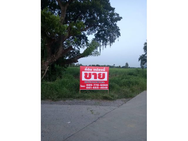 ขายที่ดินจังหวัดนครสวรรค์ ห่างถนนเลี่ยงเมือง 800 เมตร เนื้อที่ 22 ไร่ 3 งาน 98 ตารางวา