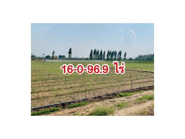 ขายที่ดิน16ไร่ ต.วังศาลา อ.ท่าม่วง ใกล้ถนนแสงชูโต แปลงสวย ทำเลดี เดินทางสะดวก
