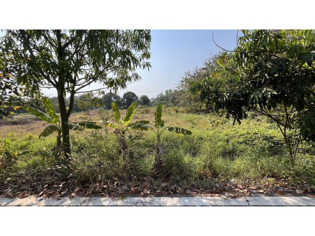 ขายที่ดิน  คลองหก ปทุมธานี 200 ตร.วา.