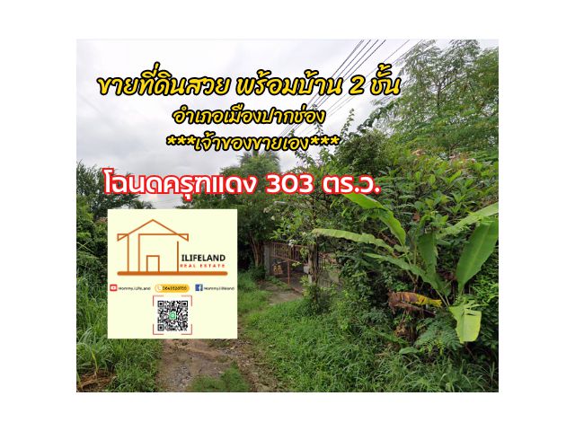 ขายที่ดินสวยๆในอ.ปากช่องพร้อมบ้านสวน โฉนดครุฑแดง 303 ตร.ว.ทำเลดี