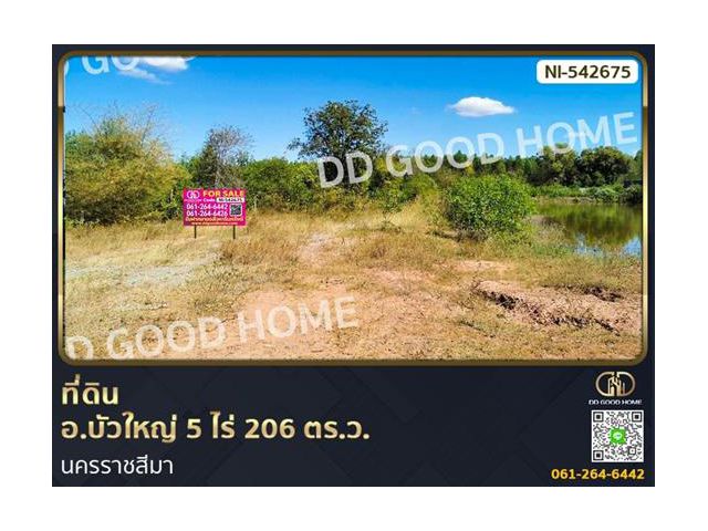 ที่ดิน อ.บัวใหญ่ 5 ไร่ 206 ตร.ว. นครราชสีมา