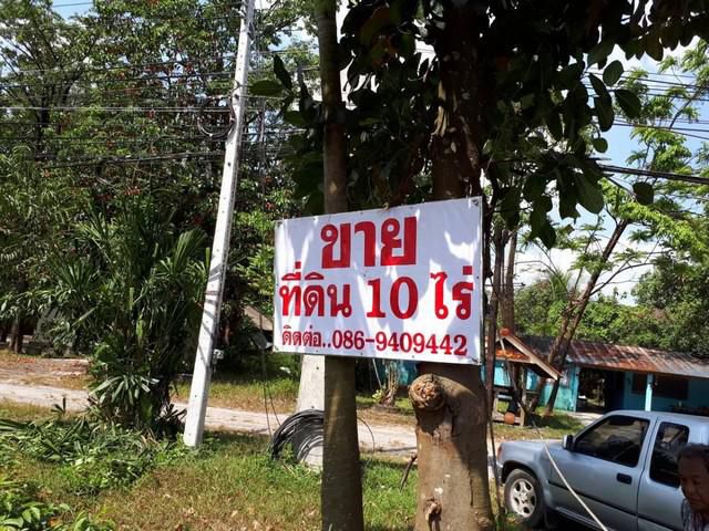 ขายที่ดินเหมาะสำหรับทำ ทำการเกษตร บ้านพักอาศํย  รีสอร์ท  ตำบลหนองธง  อำเภอป่าบอน  จังหวัดพัทลุง