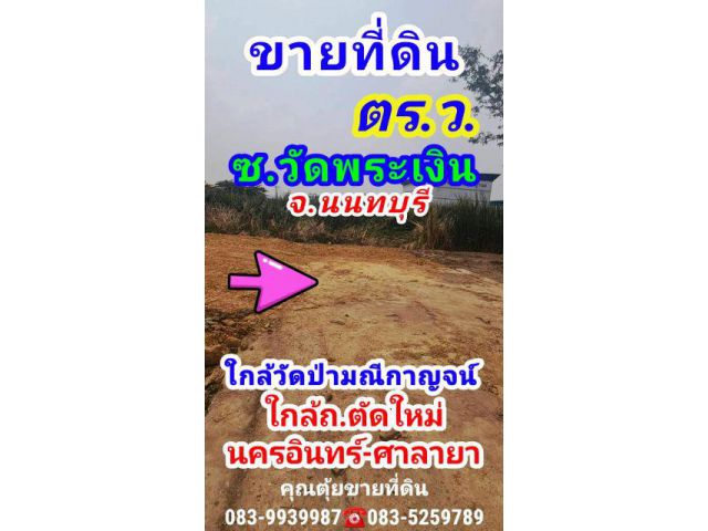 ขายที่ดิน 108 ตารางวา ที่ดินถมแล้ว ถ.บางม่วง-บางคูลัด (ซ.วัดพระเงิน) อ.บางกรวย จ.นนทบุรี