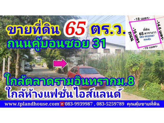 ขายที่ดิน 65 ตารางวา ถนนคู้บอนซอย 31 เขตคันนายาว กรุงเทพมหานคร
