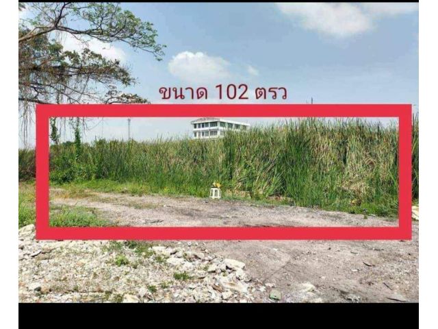ขายทีดินร่มเกล้า 102ตรว
