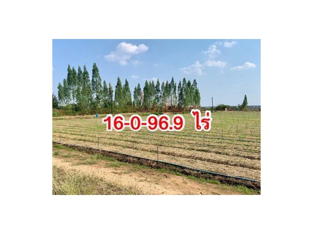 ขายที่ดิน16ไร่ แปลงสวย ต.วังศาลา อ.ท่าม่วง ใกล้ถนนแสงชูโต เดินทางสะดวก