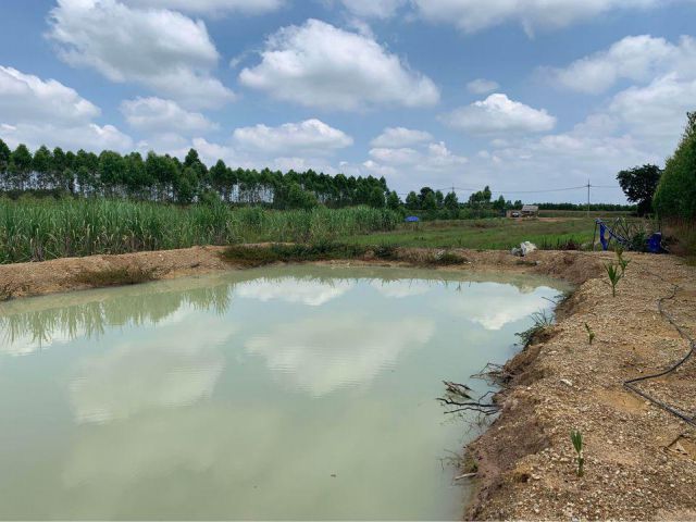 ขายที่ดินกบินทร์บุรี 5 ไร่ มีบ่อน้ำทำบ้านสวนเกษตรได้ ใกล้ถนนเส้น 3079 - 7 กม. บ้านลาดตะเคียน ปราจีนบุรี