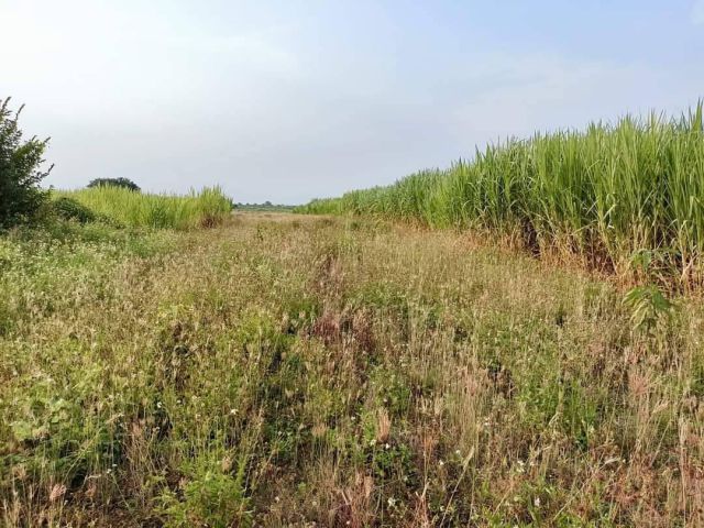 ขายที่ดินโฉนดครุฑแดง (เจ้าของขายเอง)