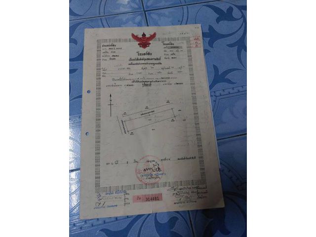 ขายที่นา 4ไร่ โฉนด  บ้านหนองสระ จ.พะเยา