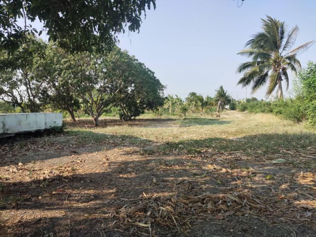 ที่ดินไทรน้อย นนทบุรี