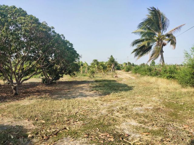 ที่ดินไทรน้อย นนทบุรี