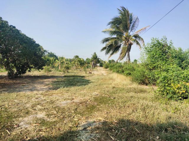 ที่ดินไทรน้อย นนทบุรี