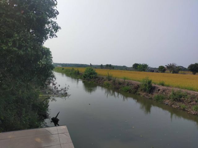 ที่ดินไทรน้อย นนทบุรี