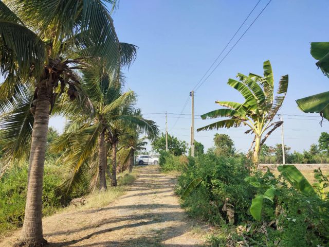 ที่ดินไทรน้อย นนทบุรี