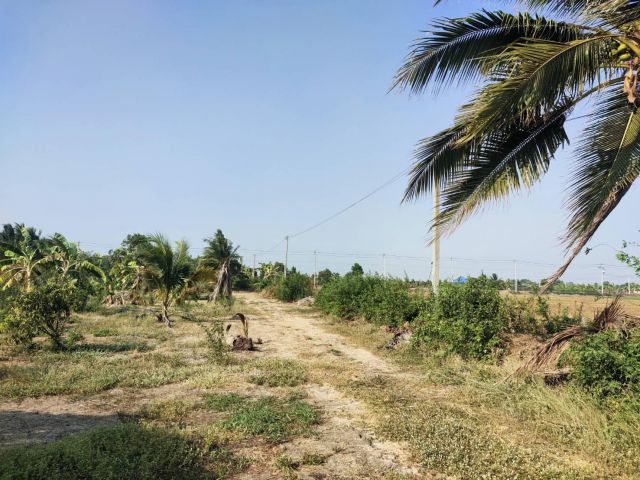 ที่ดินไทรน้อย นนทบุรี