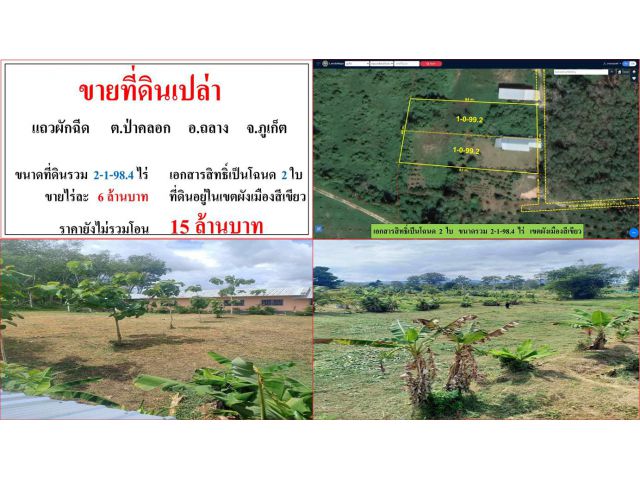 ขายที่ดินเปล่า ขนาด 2-1-98.4 ไร่  แถวผักฉีด  ต.ป่าคลอก  อ.ถลาง  ภูเก็ต
